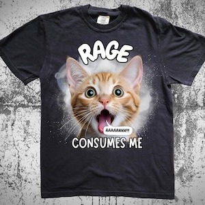 Funny Cat Meme T-Shirt, Rage Consumes Me Cat Shirt, Vintage Unhinged Cat Tee, Silly Cat Graphic Shirt, Weird Humor Unisex Shirt ComforColors