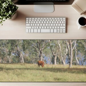 Red Angus Kuh Schreibtischmatte: Foto Schreibtischunterlage