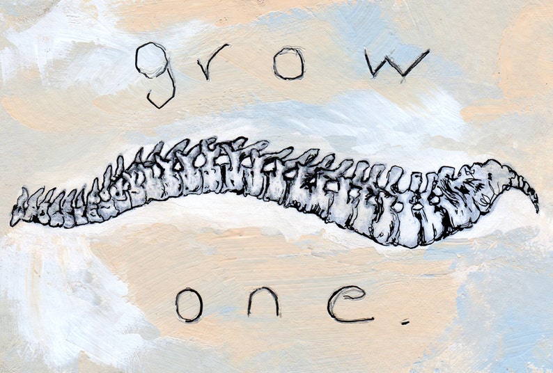 Grow A Spine Postcard Baker's Dozen image 1