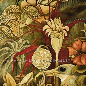 Alpinia Purpurata Giclée print by Kamala Dolphin-Kingsley  -   9&quot;x14&quot;