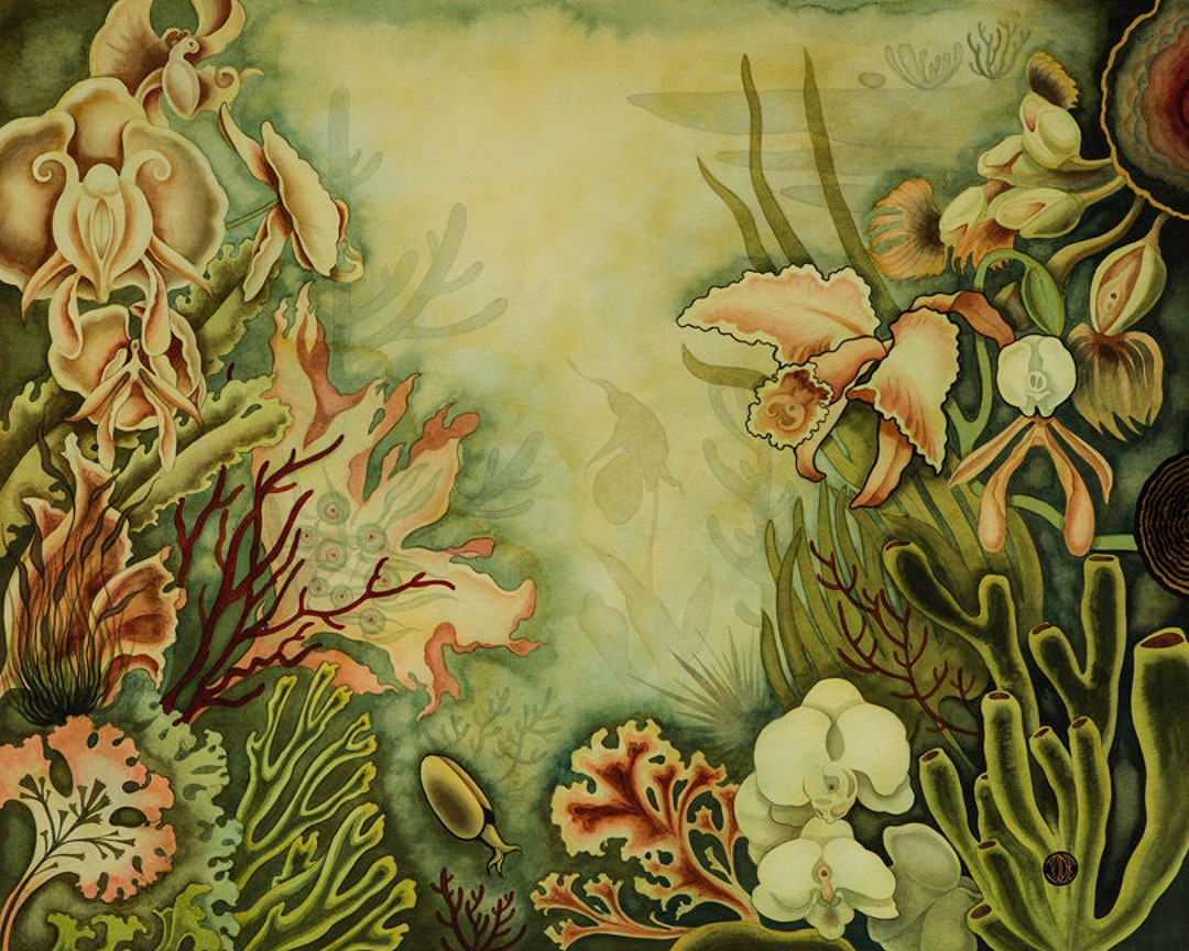 Custom Bedazzled Paphiopedilum Reef Giclée Print by Kamala Dolphin ...