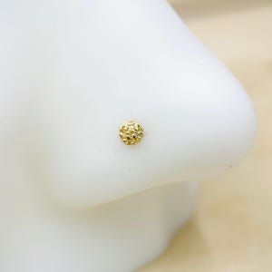 May include: A gold nose ring with a textured round design.