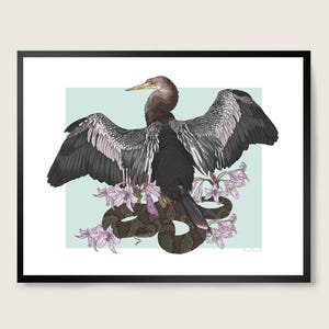 Anhinga Art Print, Florida Wildlife Wall Decor, Hand-Drawn Botanical Illustration