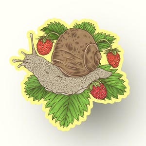 Snail and Strawberries Sticker: Cottagecore Vinyl Decal - Waterproof & Weatherproof