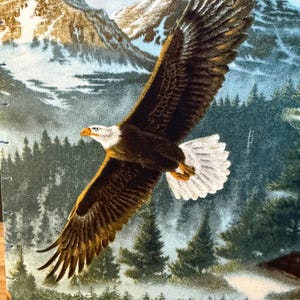 K&ouml;nnte beinhalten: Stoffpaneel mit einem majest&auml;tischen Wei&szlig;kopfseeadler im Flug &uuml;ber einer Bergkette und einem immergr&uuml;nen Wald. Der Adler hat braune und wei&szlig;e Federn, einen gelben Schnabel und einen wei&szlig;en Kopf. Der Hintergrund zeigt schneebedeckte Berge und einen blauen Himmel.