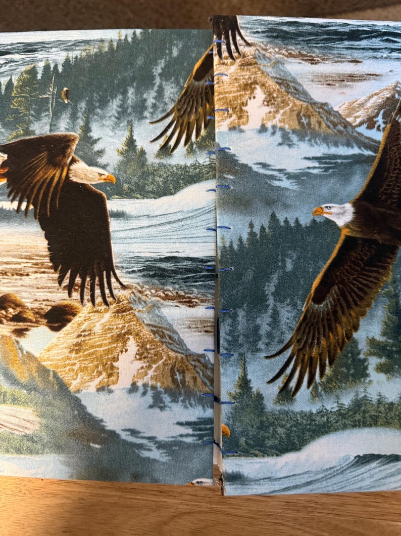 K&ouml;nnte beinhalten: Doppelseitige Ansicht eines Journals oder Notizbuchs mit einem gedruckten Design, das Wei&szlig;kopfseeadler zeigt, die &uuml;ber einer Berglandschaft fliegen. Das Cover hat ein blau-gr&uuml;nes Farbschema mit einer schneebedeckten Bergkette und immergr&uuml;nen B&auml;umen.