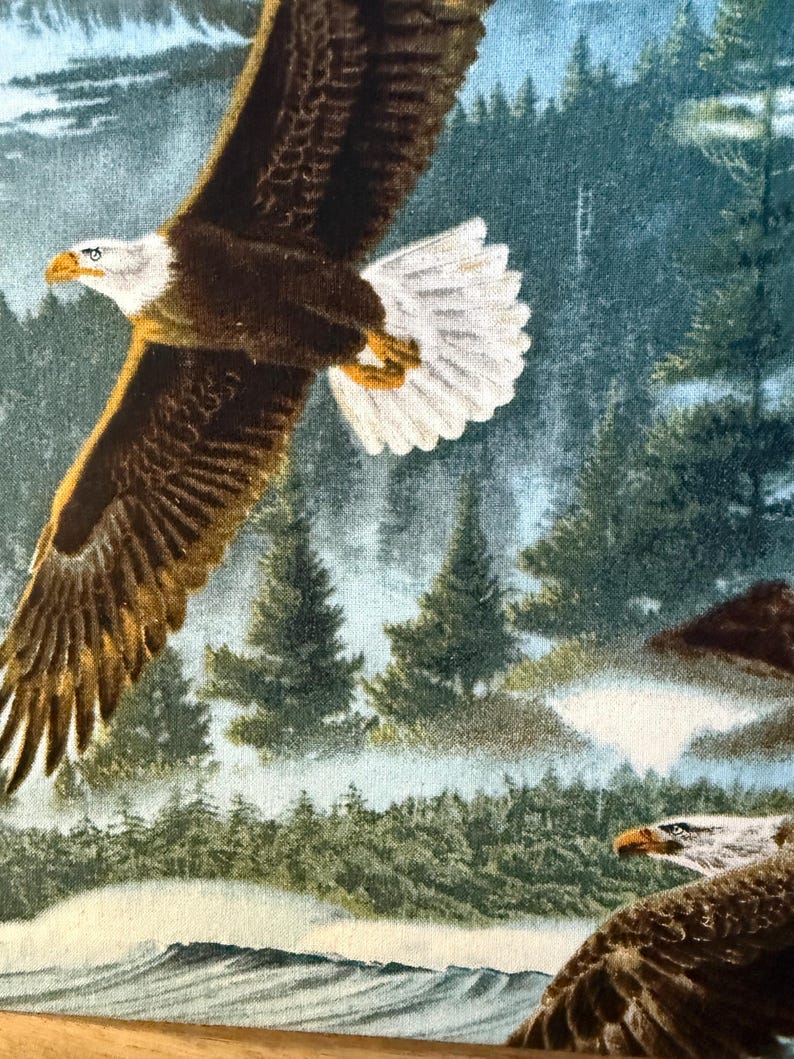 K&ouml;nnte beinhalten: Detaillierte Illustration von zwei Wei&szlig;kopfseeadlern im Flug &uuml;ber einer Wald- und Berglandschaft. Die Adler haben braune und wei&szlig;e Federn mit gelben Schn&auml;beln und Krallen. Der Hintergrund zeigt immergr&uuml;ne B&auml;ume, schneebedeckte Berge und einen blauen Himmel.