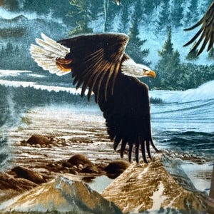 K&ouml;nnte beinhalten: Detaillierte Illustration eines Wei&szlig;kopfseeadlers im Flug, mit einem Hintergrund aus einer Bergkette und einem Wald. Der Adler hat braune und wei&szlig;e Federn, einen wei&szlig;en Kopf und einen gelben Schnabel. Der Hintergrund zeigt einen Fluss und einen blauen Himmel.