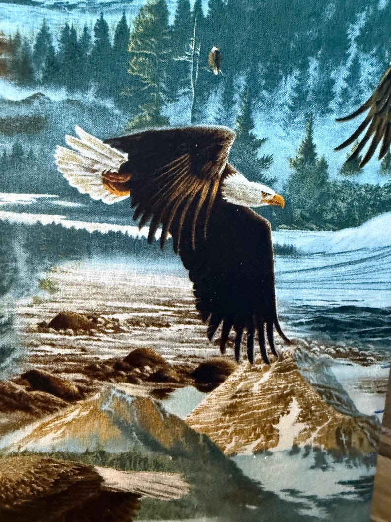 K&ouml;nnte beinhalten: Detaillierte Illustration eines Wei&szlig;kopfseeadlers im Flug, mit einem Hintergrund aus einer Bergkette und einem Wald. Der Adler hat braune und wei&szlig;e Federn, einen wei&szlig;en Kopf und einen gelben Schnabel. Der Hintergrund zeigt einen Fluss und einen blauen Himmel.