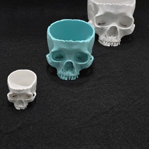 May include: Three white skull planters, one is teal blue. The planters are different sizes and are perfect for small plants or succulents.