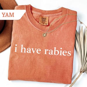 Może przedstawiać: Koszulka w kolorze koralowym z nadrukiem "i have rabies" w kolorze białym. Koszulka jest złożona i leży na białym tle z brązowym kapeluszem i wysuszoną palmową gałązką.