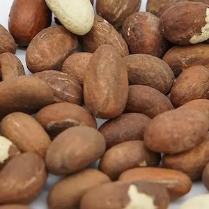 Bitter kola (orogbo) 1.00 per piece