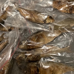 Eja/Pescado seco