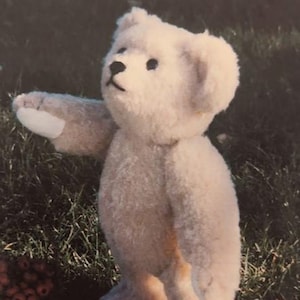 May include: A light beige teddy bear with black eyes and nose stands on its hind legs, one arm outstretched. The plush toy is set against a backdrop of green grass and a few red berries.