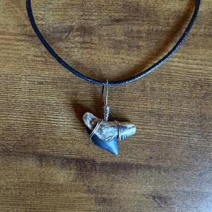 Tiger Shark Tooth Necklace| Men&#39;s, Woman&#39;s, Kid&#39;s| Real Fossil | Handmade | Custom