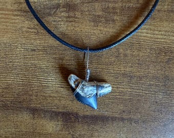 Tigerhai Zahn Halskette | Herren, Damen, Kinder| Echtes Fossil | Handarbeit | Individuell