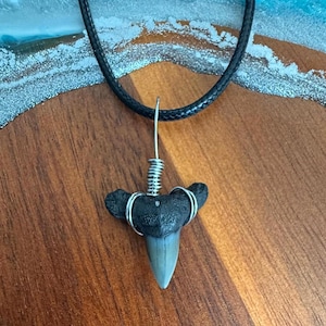Lemon Shark Tooth Necklace| Men&#39;s, Woman&#39;s, Kid&#39;s| Real Fossil | Handmade | Custom
