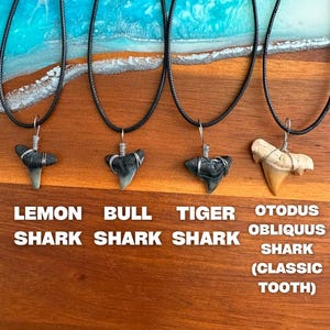 Shark Tooth Necklace| Men's, Woman's, Kid's| Real Fossil | Handmade | Custom