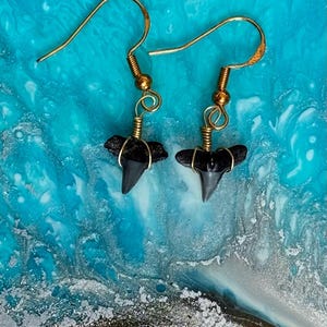 Gold Plated Shark Tooth Fossil Earrings: Handmade Sterling Silver