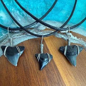 Bull Shark Tooth Necklace| Men&#39;s, Woman&#39;s, Kid&#39;s| Real Fossil | Handmade | Custom