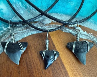 May include: Three black shark tooth pendants on black cords. Each tooth is wrapped in silver wire and hangs from a black cord.