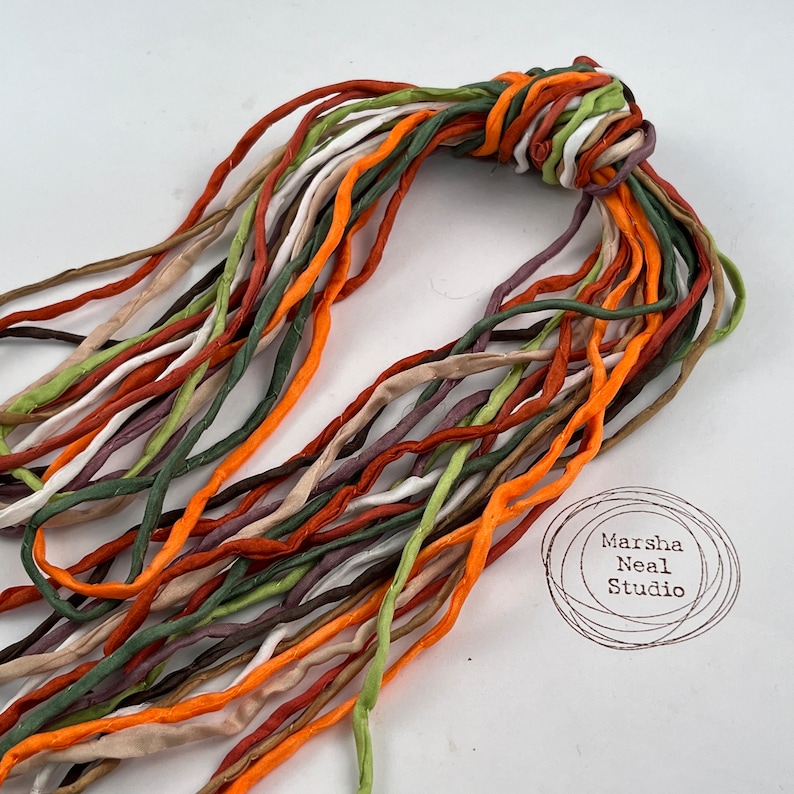 Hand Painted Silk Cord Hand Dyed Silk Silk Ribbon Jewelry Supplies Craft Supplies 10 Silks 2mm Silk Cord Item No.561 image 1