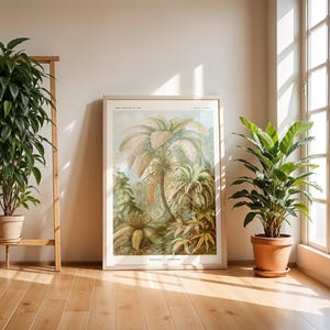 Filicinae / Arte mural / Ernst Haeckel / Vintage / Ilustración natural / Digital / Selva / Árbol de palma / Naturaleza / Póster / Botánico / Tropical