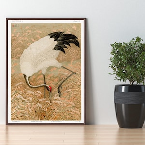 Sarus crane in rice field | vintage Japanese animal painting | G.A. Audsley | Illustration | Poster | Digital | Oriental | Vintage | Japan
