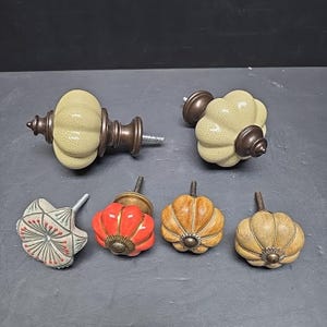 Könnte beinhalten: Eine Sammlung dekorativer Schrankknöpfe in verschiedenen Stilen und Farben. Die Knöpfe umfassen ein cremefarbenes, kürbisförmiges Design mit Bronzebeschlägen sowie rot-, orange- und hellbraunfarbene Kürbisdesigns. Andere Knöpfe haben ein florales Design.
