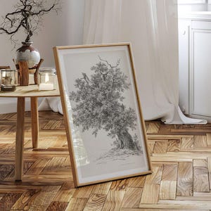 Rustic Nature Sketch, Vintage Tree Drawing Print, Engraving Wall Art, Rural Oak Tree Poster, Traditional English Heritage Home Decor AK2