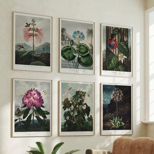 May include: Six framed botanical prints with detailed illustrations of various flowers and plants. The prints are in a light-colored frame and are hung on a cream-colored wall. A brown upholstered armchair and a small side table are in the foreground.