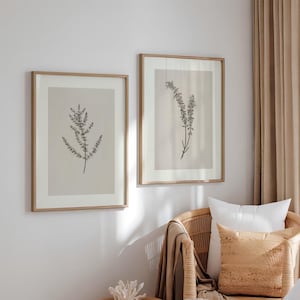 2er Set Antike botanische Drucke | Zwei Minimal Zeichnung Poster, Naturton Wildblumen Wand Kunst, Beige Kunstwerk, Elegantes Wohndekor SP14