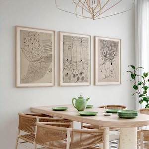 Set of 3 Santiago Ramon y Cajal Antique Anatomy Prints | Vintage Biology Wall Art, Doctors Office Poster, Medical Student Artwork No9-10-12