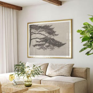 Study of a Pine Tree Drawing Print | Antique Forest Sketch, Vintage Lithograph Etching Wall Art, Windswept Branch Poster, Farmhouse Picture