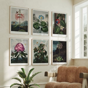 Set von 6 botanische Drucke Tempel der Flora | Robert John Thornton Gemälde, Vintage Druck, Wohnkultur, Accessoires, Kunstwerk, Wand Kunst Poster