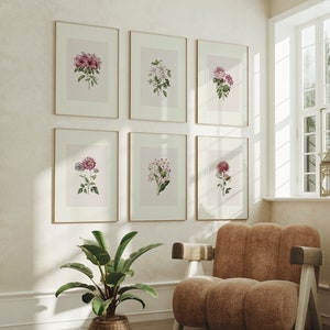 Conjunto de 6 impressões de desenho de flores vintage | Seis pôsteres de desenho botânico correspondentes, arte de parede, imagem de arte em aquarela, decoração para casa BHL 1-6