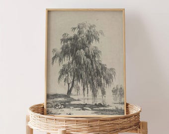 Jean Victor Bertin Recueil d'Études d'Arbres | Antique Weeping Willow Lithograph , Vintage Tree Drawing Print, Fine Wall Art Poster Picture