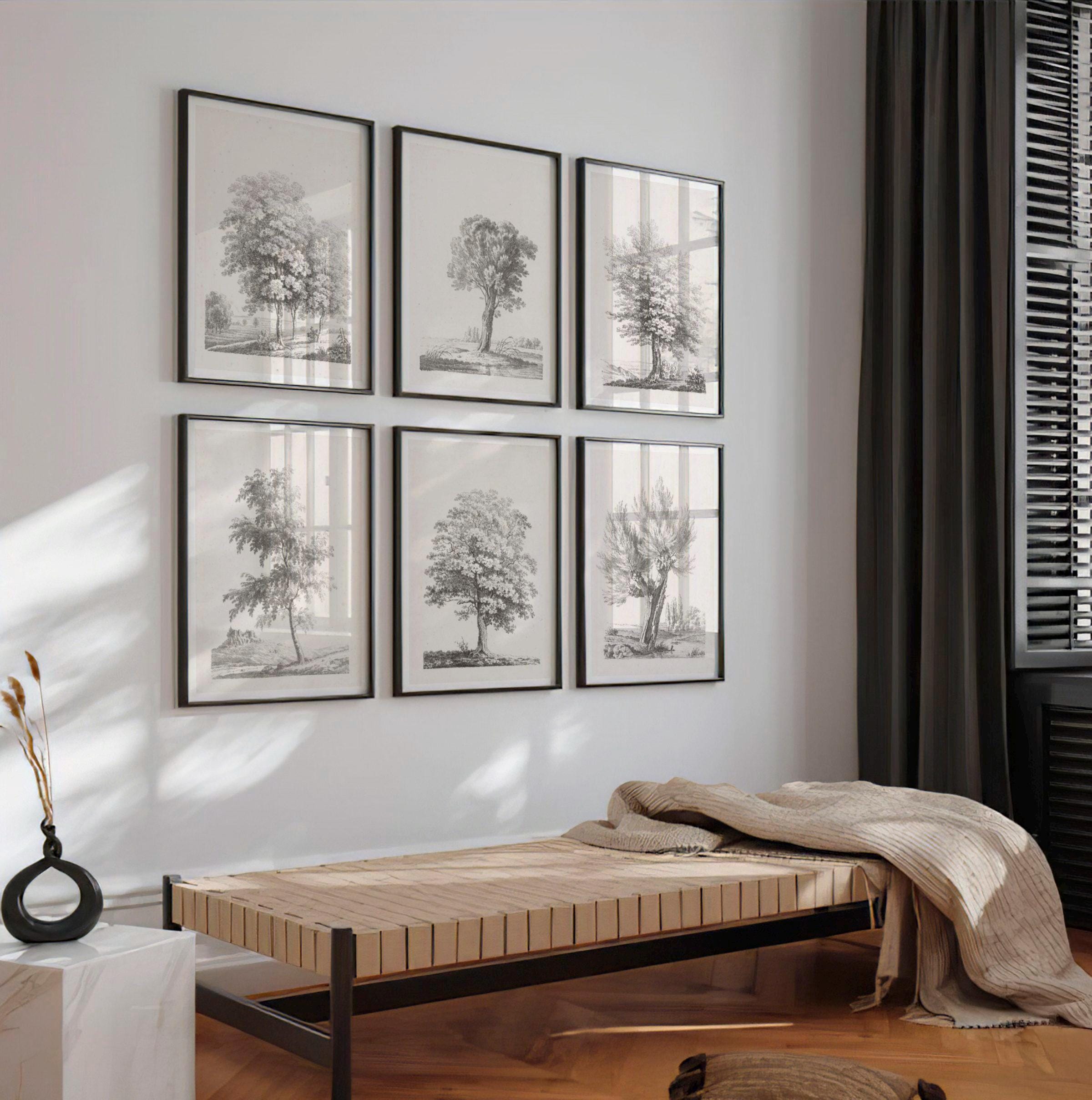 Set of 6 Vintage Tree Drawing Prints | Six Piece Tree Engraving