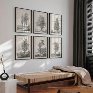 Set of 6 Vintage Tree Drawing Prints | Six Piece Tree Pencil Sketch Posters, Etching Wall Art, Artwork Antique Picture Home Decor AK No18-23
