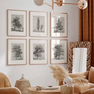 Set of 6 Vintage Tree Drawing Prints | Six Piece Tree Engraving Posters, Nature Wall Art, Neutral Sketch Artwork Picture, Home Decor AB15-7