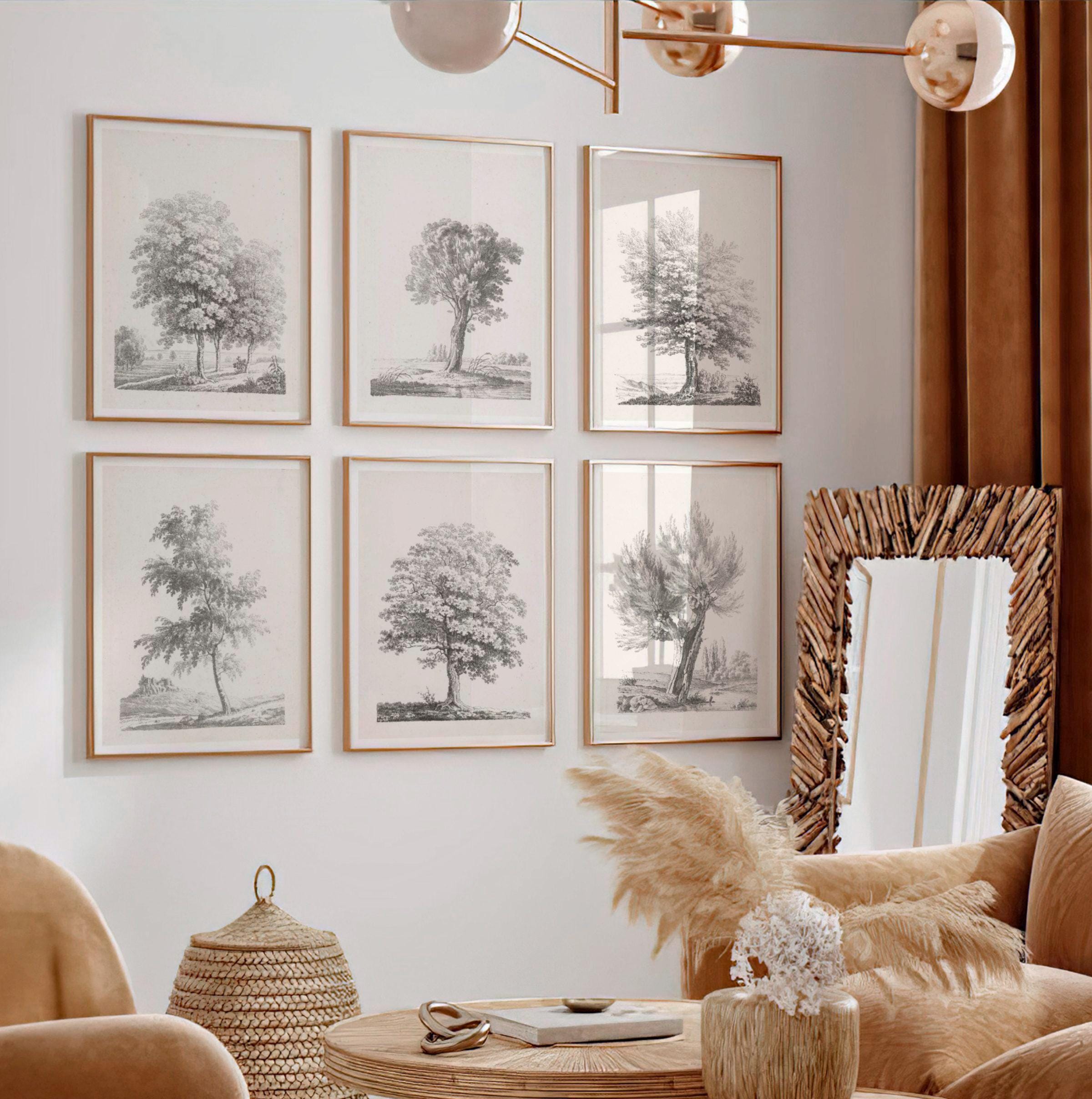 Set of 6 Vintage Tree Drawing Prints | Six Piece Tree Engraving