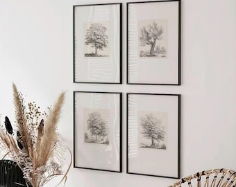 Set of 4 Antique Tree Study Line Drawing Prints | Four Graphite Pencil Poster Wall Art, Neutral Artwork, Home Decor J Bernard No27-30