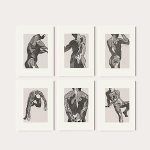 Set von 6 Reijer Stolk Anatomie Studie Prints | Vintage Menschlicher Körper Biologie Wand Kunst, Arztpraxis Poster, Medizin Studenten Kunstwerk, Bild