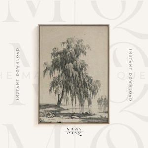 Puede incluir: Una ilustración en blanco y negro de un sauce llorón con largas ramas colgantes. El árbol se coloca sobre un fondo claro, creando una sensación de tranquilidad y paz.