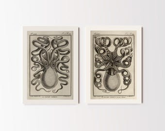 Set of 2 Le Poulpe Colossal Prints | Antique Octopus Painting, Vintage Giant Squid, Kraken Home Decor, Sea Monster Wall Art Poster, Picture