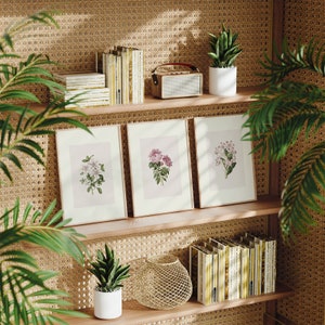 3er-Set Vintage Blumenmalerei Prints | Drei Aquarell Zeichnung Poster, Rosa Grün Wand Kunst, Kunstwerk Bild, Wohnkultur BHL 234