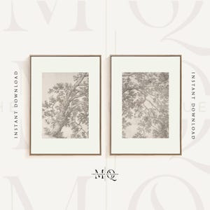 May include: Two framed black and white drawings of tree branches. The drawings are in a minimalist style and feature delicate lines.