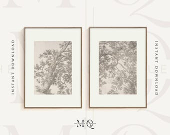 Set of 2 Tree Study Drawing Prints No2 | Two Piece Etching Set, Vintage Forest Landscape Wall Art, Branch Drawing Artwork, Nature Home Decor