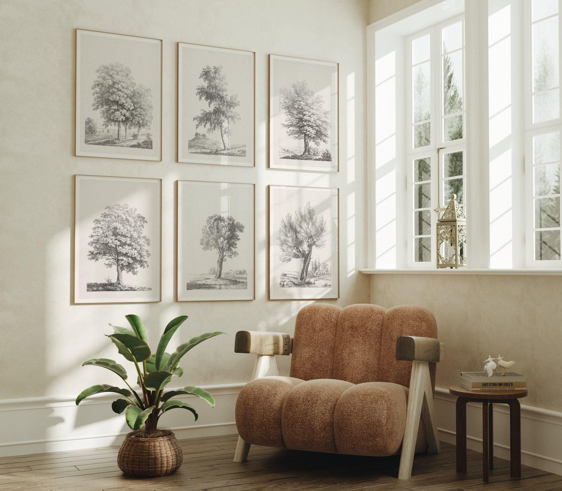 Set of 6 Vintage Tree Drawing Prints | Six Piece Tree Engraving