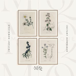 Set di 4 stampe botaniche antiche / Quattro poster di disegno minimalista, arte murale di fiori selvatici, schizzo di erbe aromatiche in toni neutri, arredamento per la casa JS1456